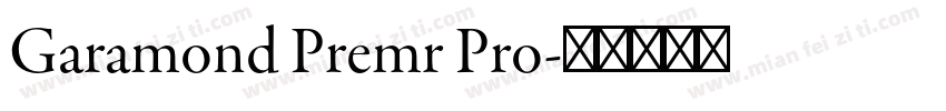 Garamond Premr Pro字体转换